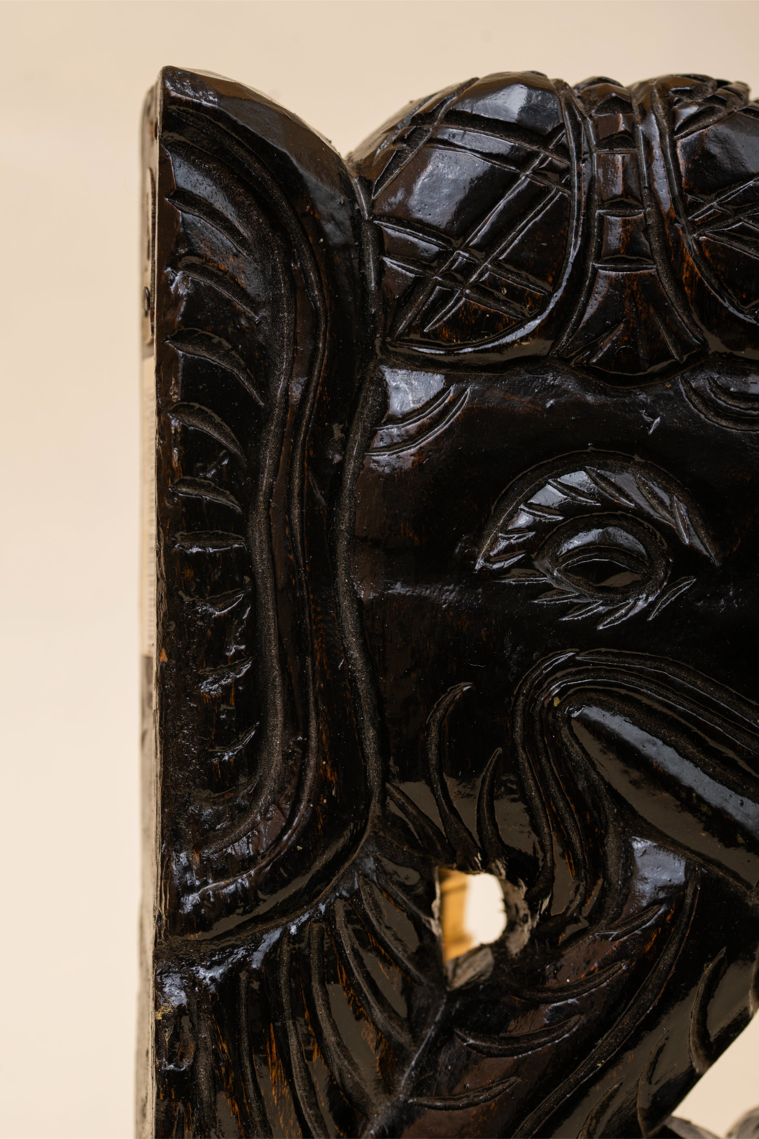 Gana Mukha – The Collective Presence