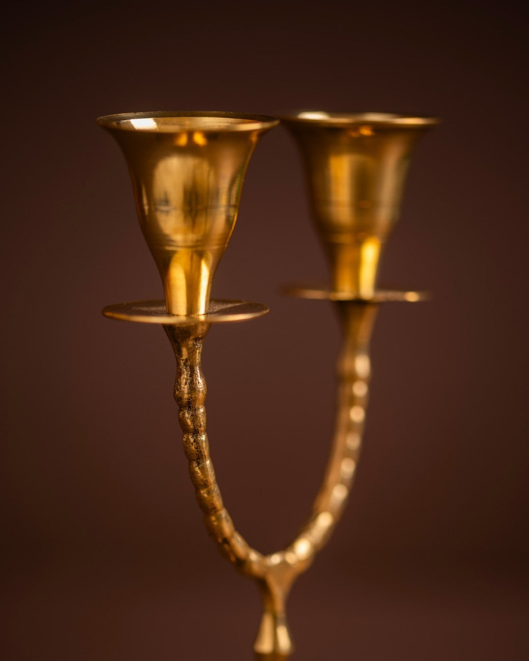 Double Brass Candelabra