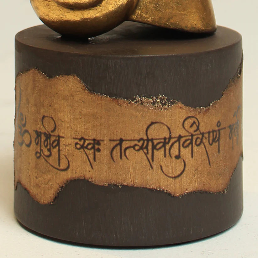 Mantra Shell Accent (Set of 2)