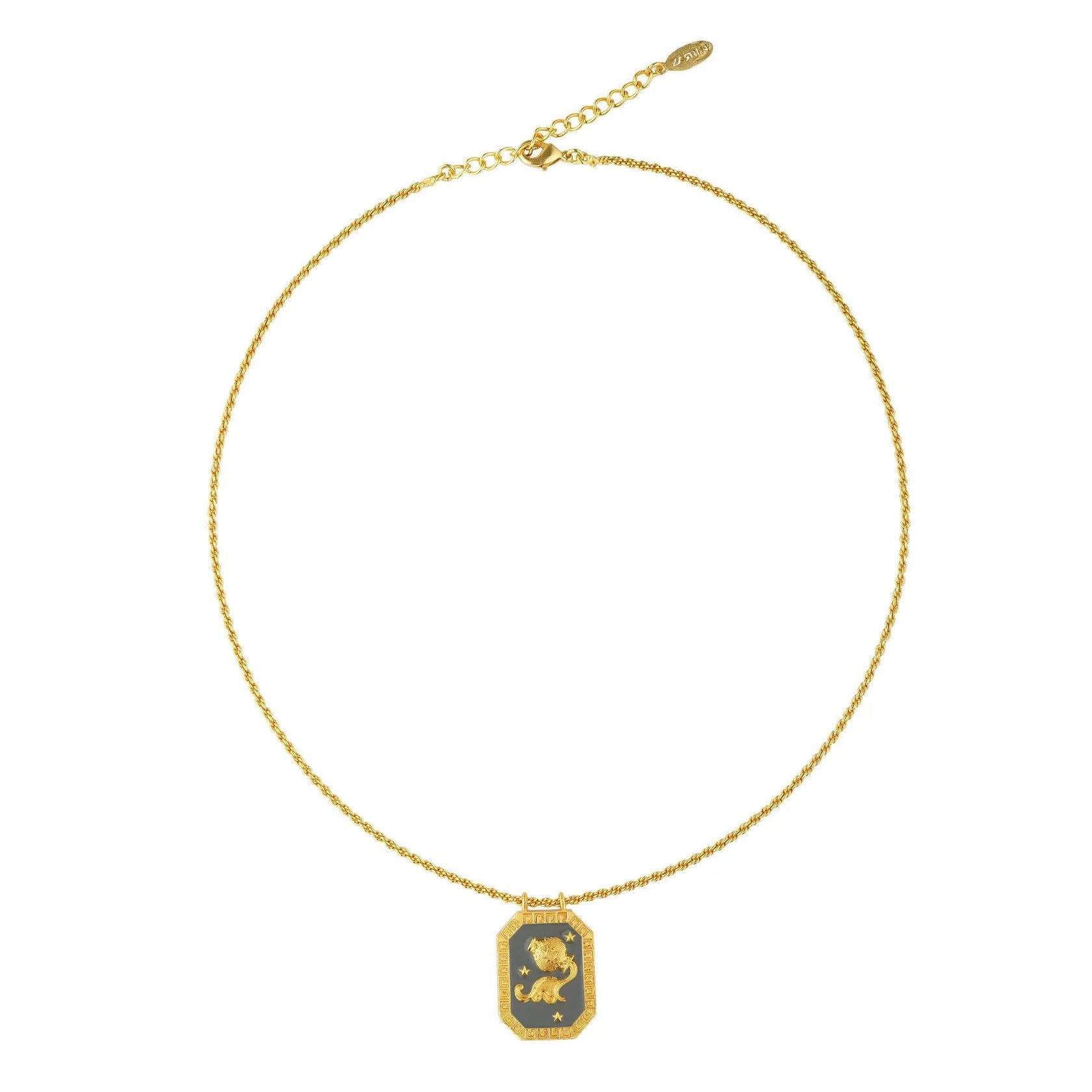 Full-length gold Aquarius zodiac necklace with tablet-shaped charm