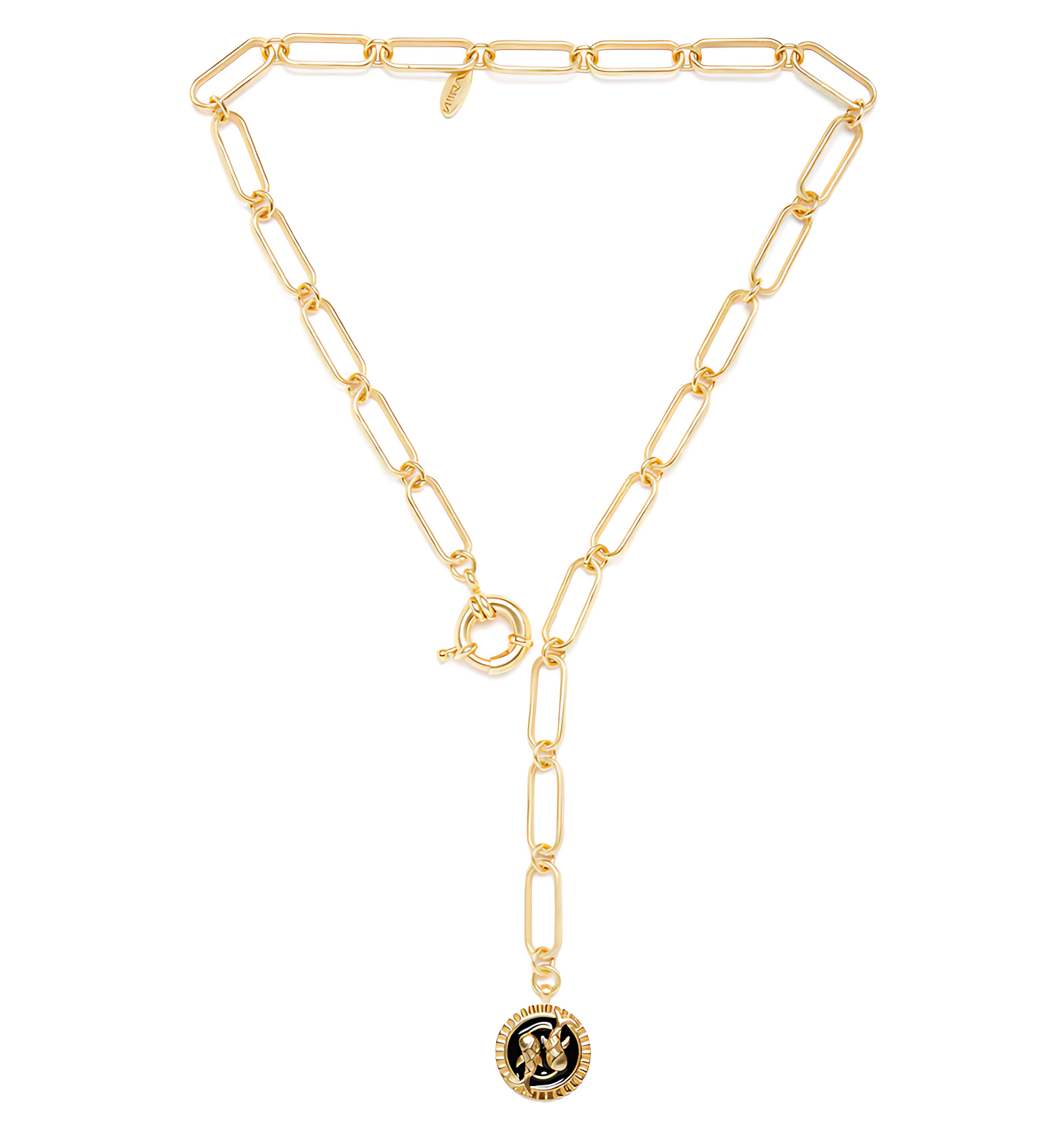 Soul of the Fish Pisces Necklace