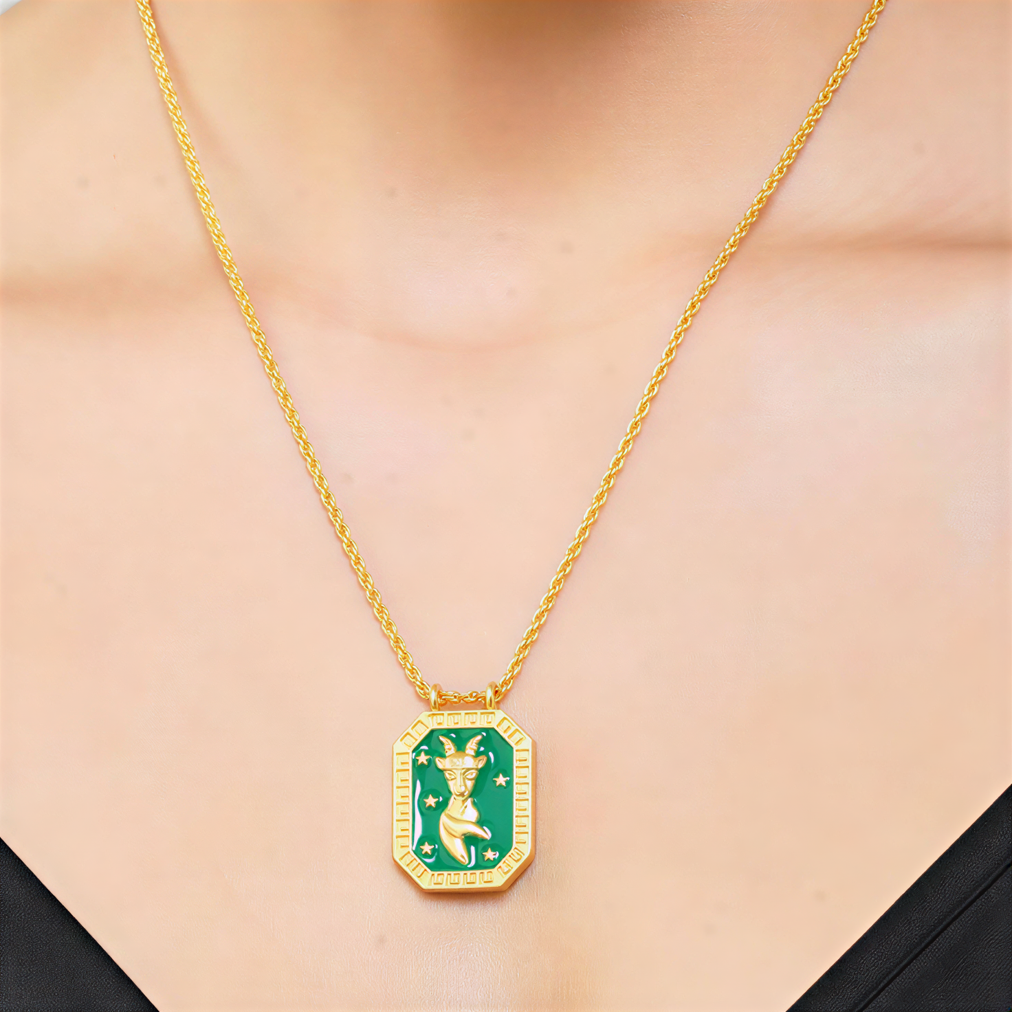 Capricorn Zodiac Tablet Reversible Necklace with Garnet