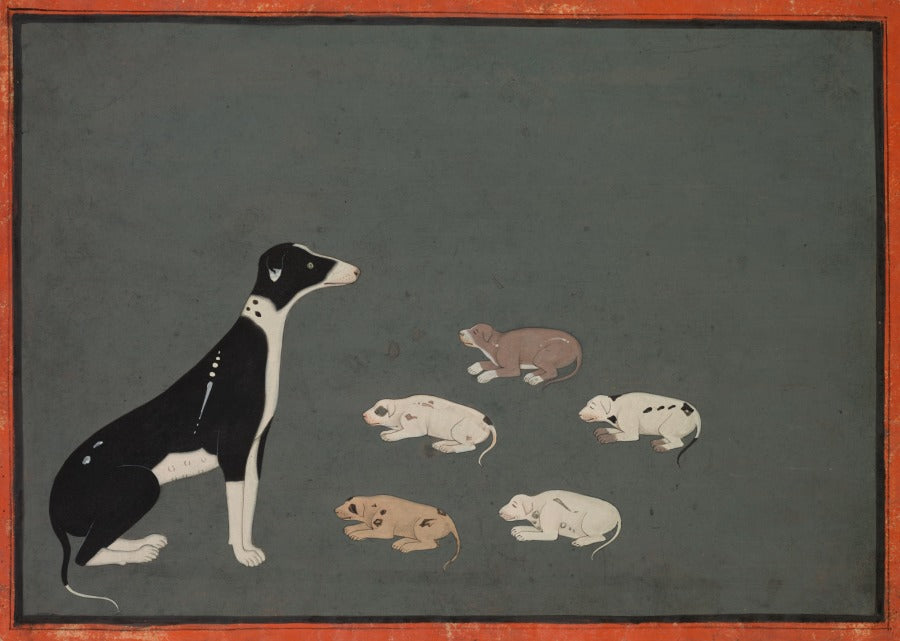 'Dog with Pups' Canvas Cloth Print, c.1780