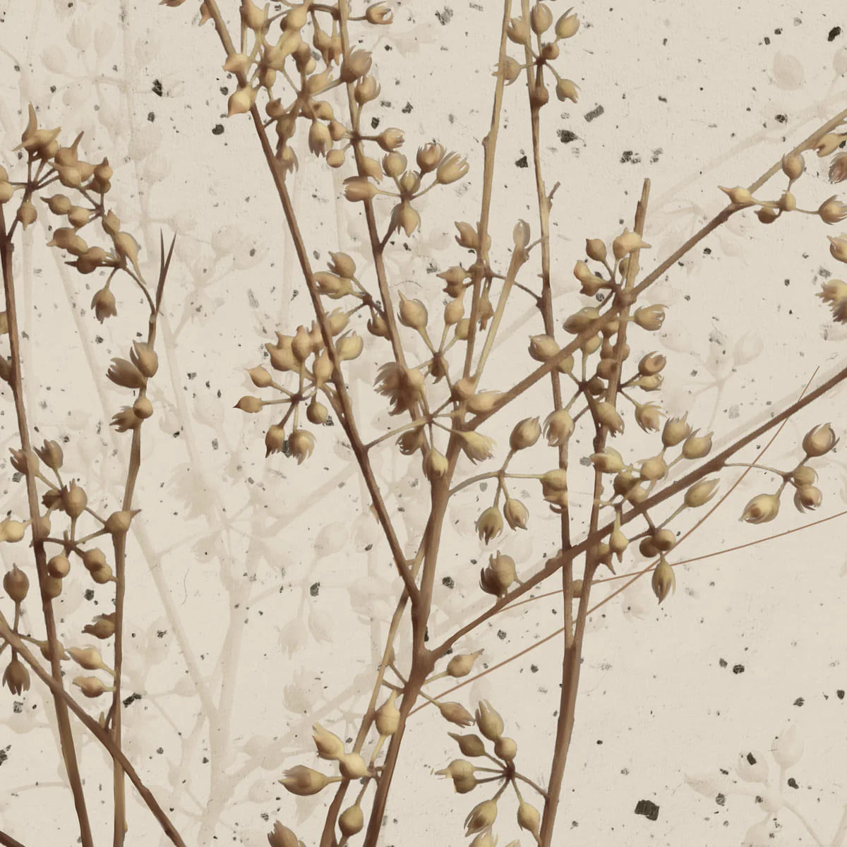 Desert Grace: "Amaira" Botanical Wall Mural