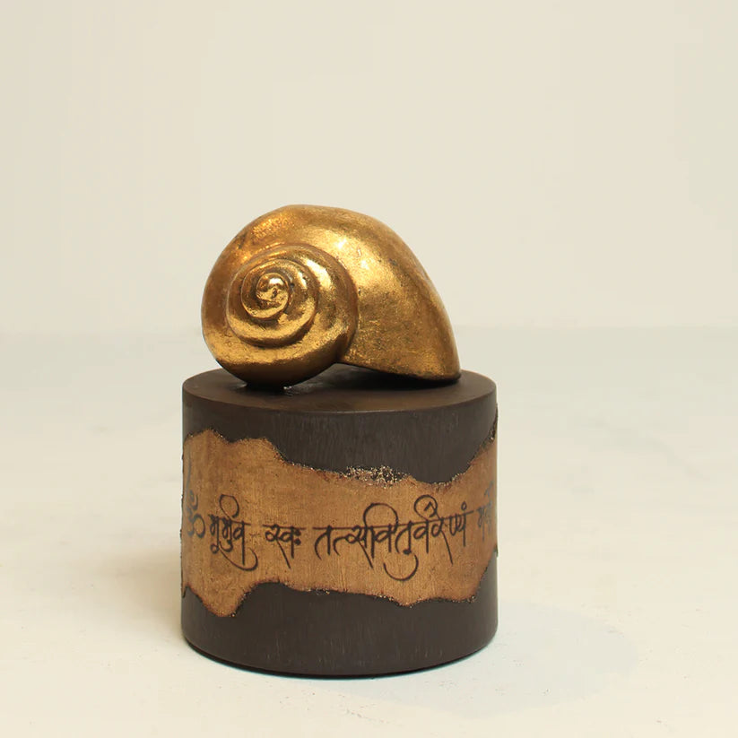 Mantra Shell Accent (Set of 2)